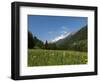 Canton Uri, Swiss Alps, Switzerland, Europe-Angelo Cavalli-Framed Photographic Print