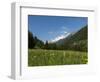 Canton Uri, Swiss Alps, Switzerland, Europe-Angelo Cavalli-Framed Photographic Print