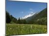 Canton Uri, Swiss Alps, Switzerland, Europe-Angelo Cavalli-Mounted Photographic Print
