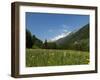 Canton Uri, Swiss Alps, Switzerland, Europe-Angelo Cavalli-Framed Photographic Print