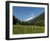 Canton Uri, Swiss Alps, Switzerland, Europe-Angelo Cavalli-Framed Photographic Print