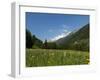 Canton Uri, Swiss Alps, Switzerland, Europe-Angelo Cavalli-Framed Photographic Print