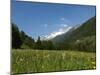 Canton Uri, Swiss Alps, Switzerland, Europe-Angelo Cavalli-Mounted Photographic Print