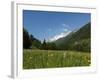 Canton Uri, Swiss Alps, Switzerland, Europe-Angelo Cavalli-Framed Photographic Print