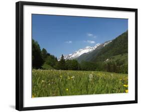 Canton Uri, Swiss Alps, Switzerland, Europe-Angelo Cavalli-Framed Photographic Print