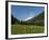 Canton Uri, Swiss Alps, Switzerland, Europe-Angelo Cavalli-Framed Photographic Print