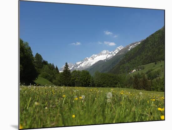 Canton Uri, Swiss Alps, Switzerland, Europe-Angelo Cavalli-Mounted Photographic Print