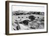 Cantonment, Mhow, Madhya Pradesh, India, Early 20th Century-null-Framed Giclee Print