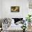 Canvas and Cats-Kobayashi Kiyochika-Stretched Canvas displayed on a wall
