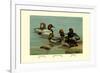 Canvas-Back, Common Pochard and Red-Head Ducks-Allan Brooks-Framed Premium Giclee Print