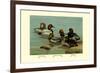 Canvas-Back, Common Pochard and Red-Head Ducks-Allan Brooks-Framed Premium Giclee Print