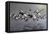 Canvasbacks Coming In-Wilhelm Goebel-Framed Stretched Canvas