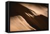 Canyon Abstract V-Lori Deiter-Framed Stretched Canvas