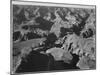 Canyon And Ravine "Grand Canyon National Park" Arizona 1933-1942-Ansel Adams-Mounted Art Print