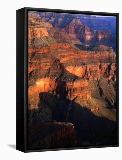 Canyon at Pima Point, Grand Canyon National Park, USA-John Elk III-Framed Stretched Canvas