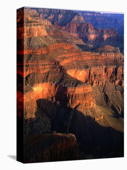 Canyon at Pima Point, Grand Canyon National Park, USA-John Elk III-Stretched Canvas