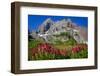 Canyon Creek Meadow, Deschutes National Forest, Oregon, USA. Three-Fingered Jack and Indian Paintbr-Mark Williford-Framed Photographic Print