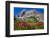 Canyon Creek Meadow, Deschutes National Forest, Oregon, USA. Three-Fingered Jack and Indian Paintbr-Mark Williford-Framed Photographic Print