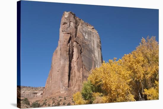 Canyon De Chelly, Arizona, United States of America, North America-Richard Maschmeyer-Stretched Canvas