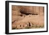 Canyon De Chelly National Monument, Arizona, United States of America, North America-Richard Maschmeyer-Framed Photographic Print