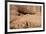 Canyon De Chelly National Monument, Arizona, United States of America, North America-Richard Maschmeyer-Framed Photographic Print