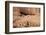 Canyon De Chelly National Monument, Arizona, United States of America, North America-Richard Maschmeyer-Framed Photographic Print