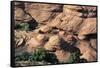 Canyon De Chelly National Monument, Navajo Indian Reservation, Arizona, USA-null-Framed Stretched Canvas