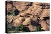 Canyon De Chelly National Monument, Navajo Indian Reservation, Arizona, USA-null-Stretched Canvas