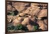 Canyon De Chelly National Monument, Navajo Indian Reservation, Arizona, USA-null-Framed Giclee Print