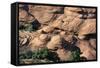 Canyon De Chelly National Monument, Navajo Indian Reservation, Arizona, USA-null-Framed Stretched Canvas