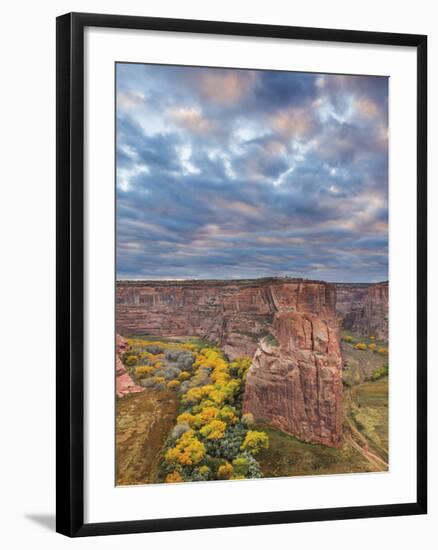 Canyon de Chelly National Monument-Don Paulson-Framed Giclee Print