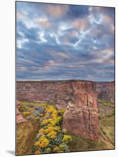 Canyon de Chelly National Monument-Don Paulson-Mounted Giclee Print