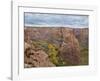 Canyon de Chelly National Park II-Don Paulson-Framed Giclee Print