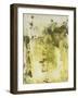 Canyon Diptych I-Joyce Combs-Framed Art Print