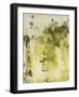 Canyon Diptych I-Joyce Combs-Framed Art Print