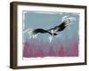 Canyon Eagle, 2014-Nancy Moniz-Framed Giclee Print