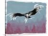 Canyon Eagle, 2014-Nancy Moniz-Stretched Canvas