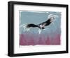 Canyon Eagle, 2014-Nancy Moniz-Framed Giclee Print