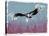 Canyon Eagle, 2014-Nancy Moniz-Stretched Canvas
