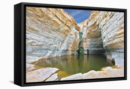 Canyon Ein Avdat in Israel. Sandstone Canyon Walls Form a round Bowl. Thin Jet Waterfall Form Cold-kavram-Framed Stretched Canvas