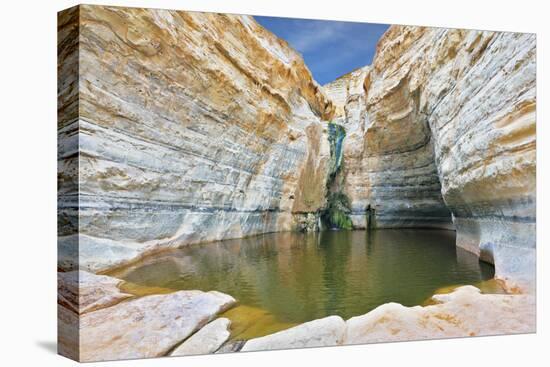 Canyon Ein Avdat in Israel. Sandstone Canyon Walls Form a round Bowl. Thin Jet Waterfall Form Cold-kavram-Stretched Canvas