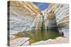 Canyon Ein Avdat in Israel. Sandstone Canyon Walls Form a round Bowl. Thin Jet Waterfall Form Cold-kavram-Stretched Canvas