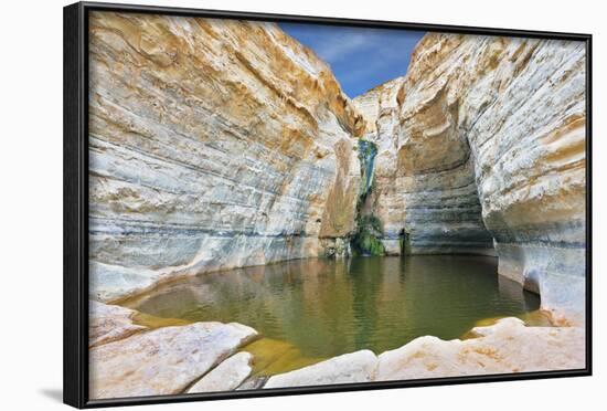 Canyon Ein Avdat in Israel. Sandstone Canyon Walls Form a round Bowl. Thin Jet Waterfall Form Cold-kavram-Framed Photographic Print