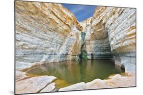 Canyon Ein Avdat in Israel. Sandstone Canyon Walls Form a round Bowl. Thin Jet Waterfall Form Cold-kavram-Mounted Photographic Print