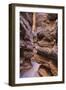 Canyon Hike-Janice Sullivan-Framed Giclee Print