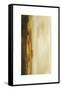 Canyon II-Sharon Gordon-Framed Stretched Canvas