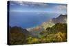 Canyon in Hawaii-Terry Eggers-Stretched Canvas