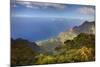 Canyon in Hawaii-Terry Eggers-Mounted Photographic Print