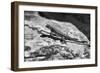 Canyon Land 19-Gordon Semmens-Framed Photographic Print