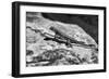 Canyon Land 19-Gordon Semmens-Framed Photographic Print